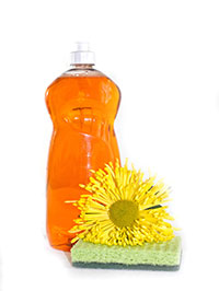 cleaning-objects-1113tm-pic-1328