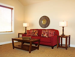 sofa-in-living-room-1113tm-pic-120