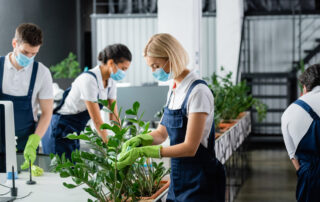 Eco-Friendly Office Cleaning: The Link Between Productivity And Sustainability